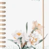 Agenda Baro-EUN 2027 narcisse