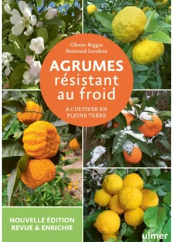 Agrumes résistant au froid