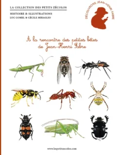 A La Rencontre Des Petites Betes De Jean-Henri Fabre