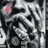 AlbumCD 12 CM LP At.Long.Last.A$Ap