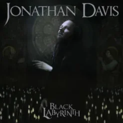 AlbumCD 12 CM LP Black Labyrinth