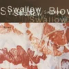 AlbumCD 12 CM LP Blown