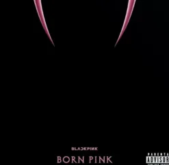AlbumCD 12 CM LP Born Pink