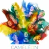 AlbumCD 12 CM LP Cameleon