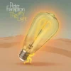 AlbumCD 12 CM LP Carry The Light