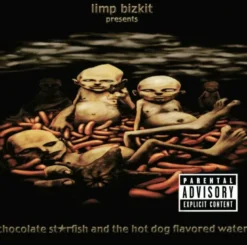 AlbumCD 12 CM LP Chocolate Starfish And The Hot Dog Flavored Water