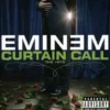 AlbumCD 12 CM LP Curtain Call: The Hits