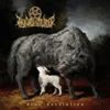 AlbumCD 12 CM LP Dear Desolation