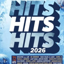 AlbumCD 12 CM LP Hits Hits Hits 2026