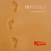 AlbumCD 12 CM LP Invisible
