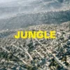 AlbumCD 12 CM LP Jungle