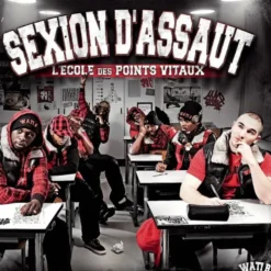 AlbumCD 12 CM LP L'école des points vitaux