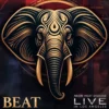 AlbumCD 12 CM LP Live