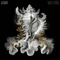 AlbumCD 12 CM LP Maelstrom