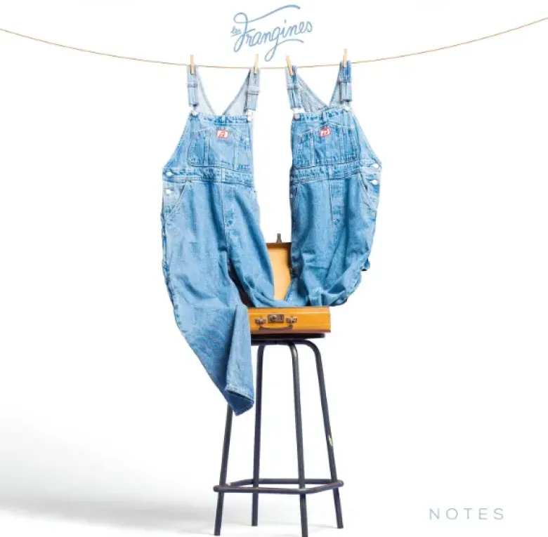AlbumCD 12 CM LP Notes