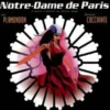 AlbumCD 12 CM LP Notre-Dame De Paris