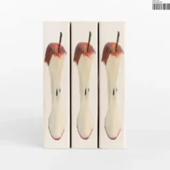 AlbumCD 12 CM LP Plex