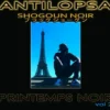 AlbumCD 12 CM LP Printemps Noir Vol2
