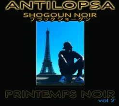 AlbumCD 12 CM LP Printemps Noir Vol2
