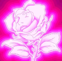 AlbumCD 12 CM LP Rose Fluo