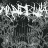 AlbumCD 12 CM LP Self Devourment