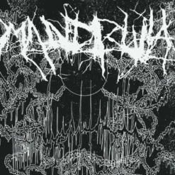 AlbumCD 12 CM LP Self Devourment