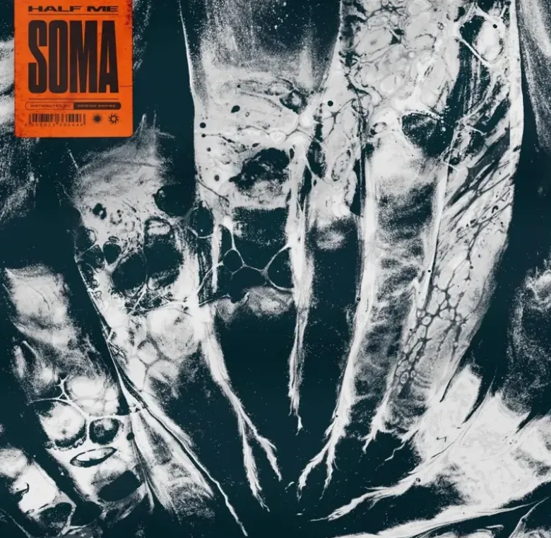 AlbumCD 12 CM LP Soma