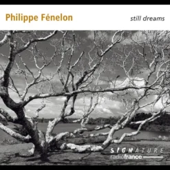 AlbumCD 12 CM LP Still Dreams
