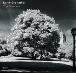 AlbumCD 12 CM LP The Gleaners