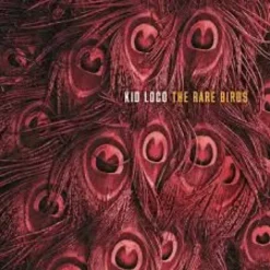 AlbumCD 12 CM LP The Rare Birds