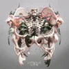 AlbumCD 12 CM LP The Weight of Sound