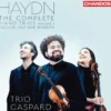 AlbumCD DIGIPACK Haydn: Complete Piano Trios, Vol. 1 - Fischer: one bar wonder