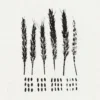 AlbumCD DIGIPACK The Gleaners
