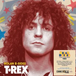 Album2 LP Bolan B Sides