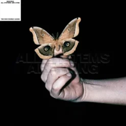 Album33 T 30 CM All Systems Are Lying
