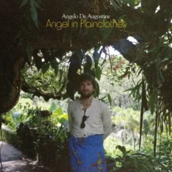 Album33 T 30 CM Angel In Plainclothes