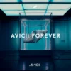 Album33 T 30 CM Avicii Forever