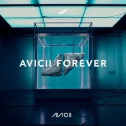 Album33 T 30 CM Avicii Forever