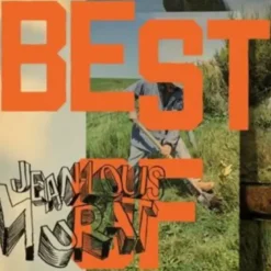 Album33 T 30 CM Best Of