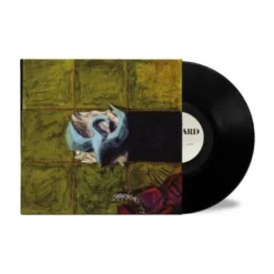 Album33 T 30 CM Blizzard