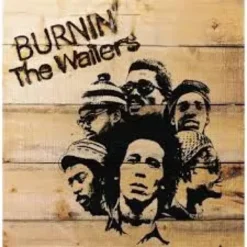 Album33 T 30 CM Burnin'