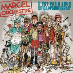 Album33 T 30 CM C'est pas à vous qu'ça m'arriverait