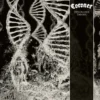 Album33 T 30 CM Dissonance Theory