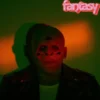 Album33 T 30 CM Fantasy