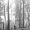 Album33 T 30 CM folklore