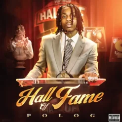 Album33 T 30 CM Hall of Fame
