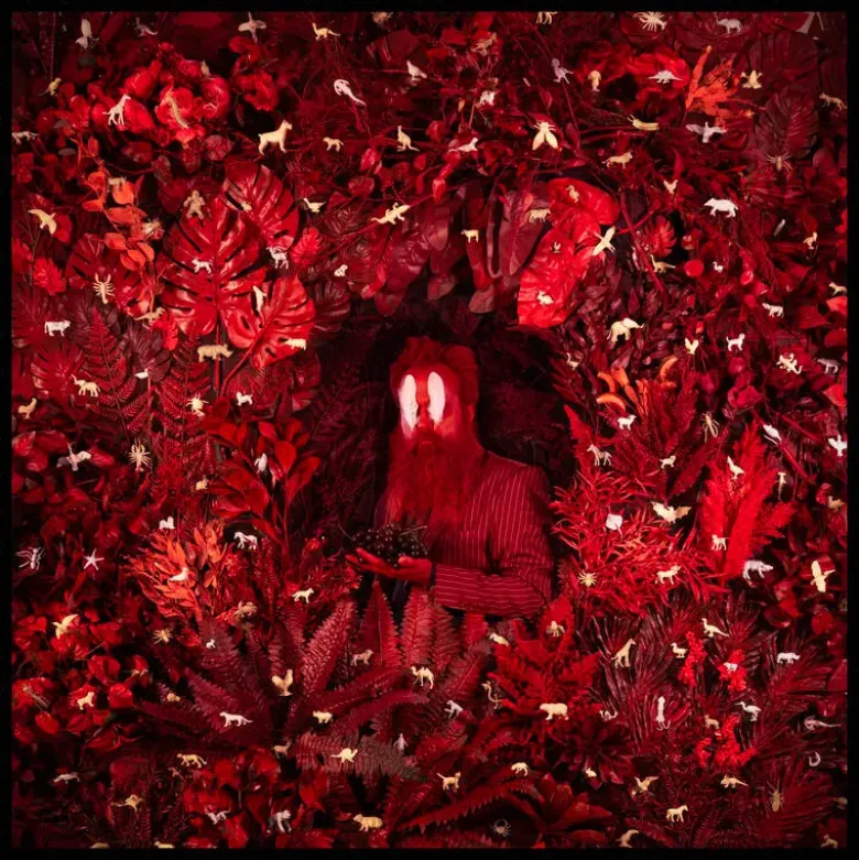 Album33 T 30 CM Hen's Teeth - Vinyle Rouge