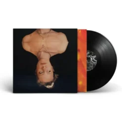 Album33 T 30 CM in|FLUX