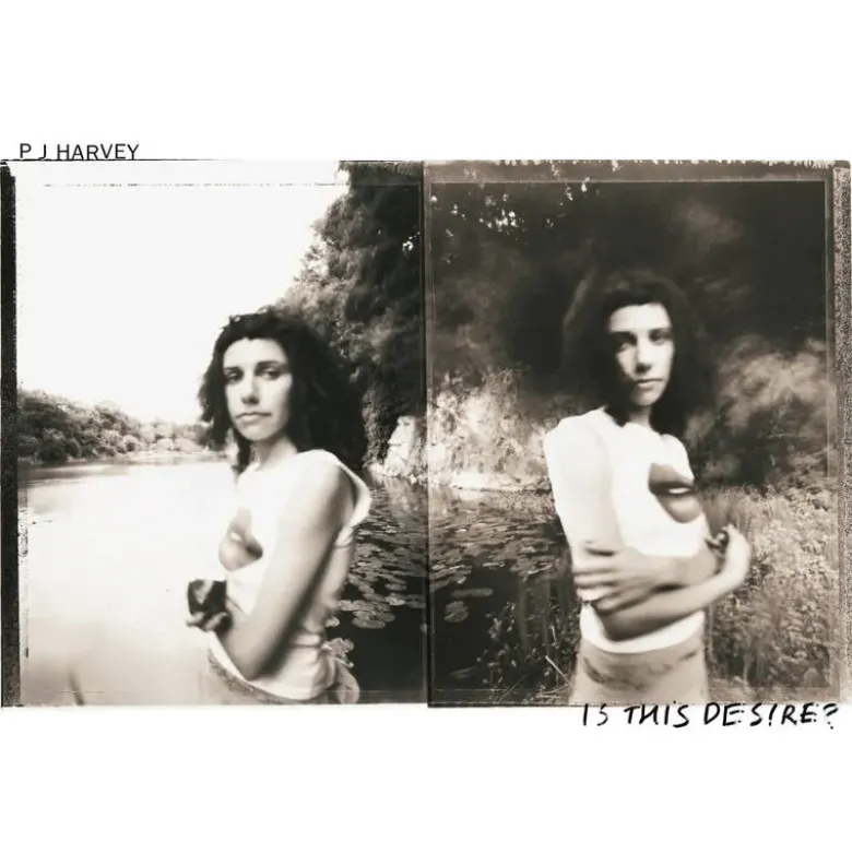 Album33 T 30 CM Is This Desire?