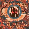 Album33 T 30 CM Live At Eden Project 25/07/2023